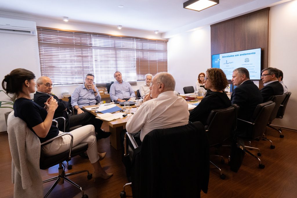 Reunião do Conselho Diretor da RAPS