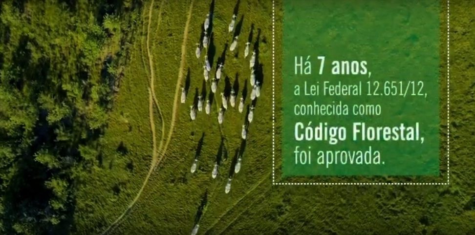 Especialistas alertam para mudanças no Código Florestal