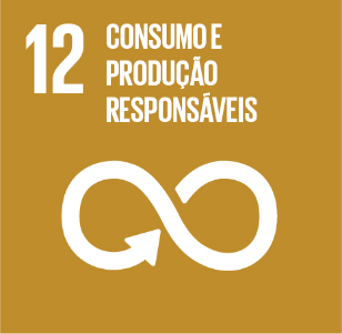 12. Consumo e Produção Responsáveis - RAPS