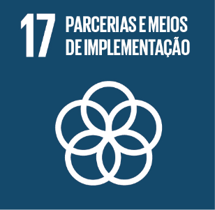 17. Parcerias e Meios de Implementação - RAPS