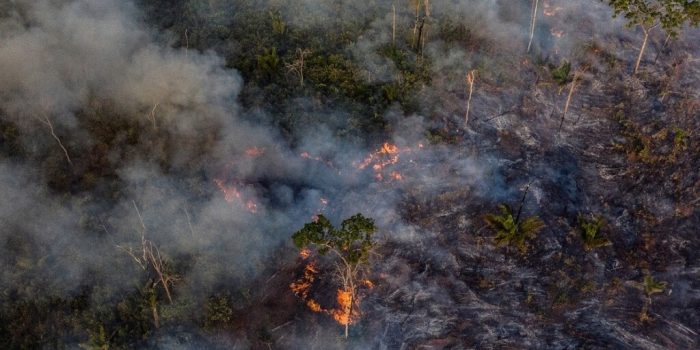 RAPS promoverá painel sobre crise climática no Brasil durante a COP25