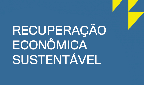 RAPS e FFHC promovem debate sobre caminhos e desafios para retomada econômica sustentável