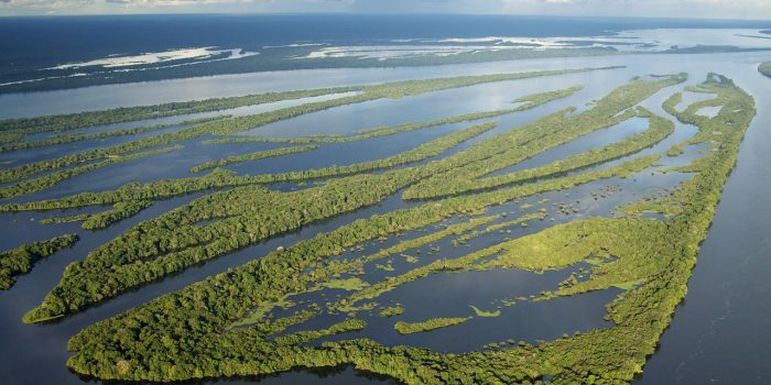 RAPS participa de plenária da Concertação pela Amazônia