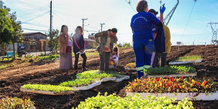 BBP: produção e consumo responsável de alimentos